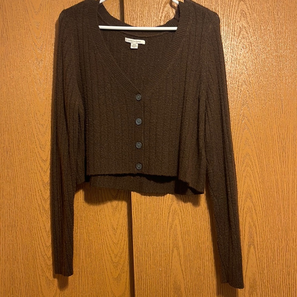 American Eagle brown cropped sweater:)